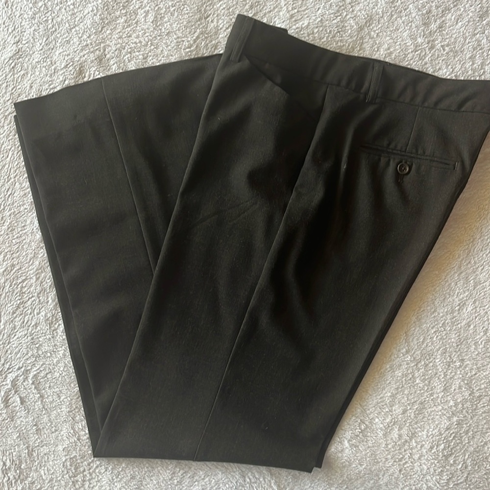 Express Design Studios Editor dress pants